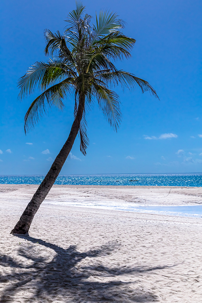 White Sand Beaches and Tropical Blue Skies Print