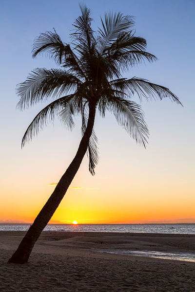 Coco Mo Tropical Sunrise Print