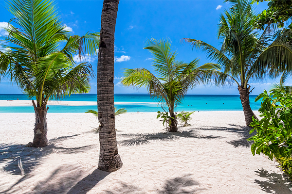 Tropical Vacation View Print