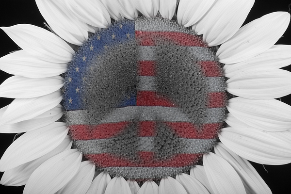 American Sunflower Power Print