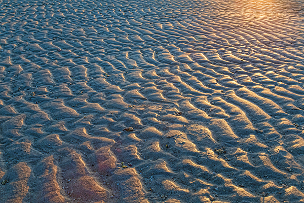 Ripples In The Sand Print