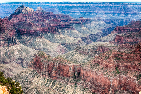 A Look Into The Grand Canyon  Print