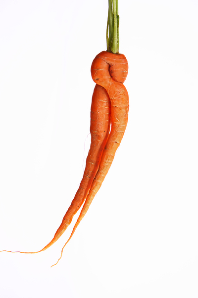 Dancing Carrot Wall Art Print