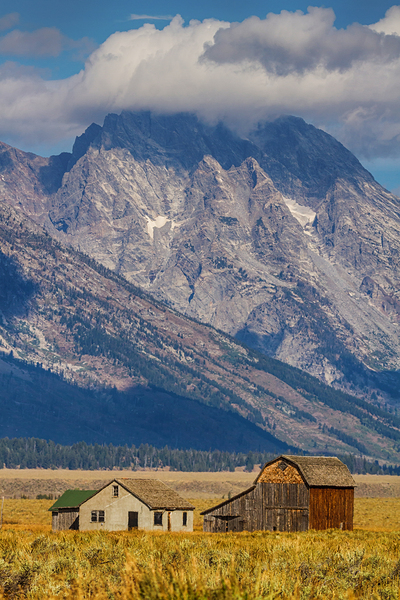 Historic Homestead Grand Teton Mountain Legacy Print