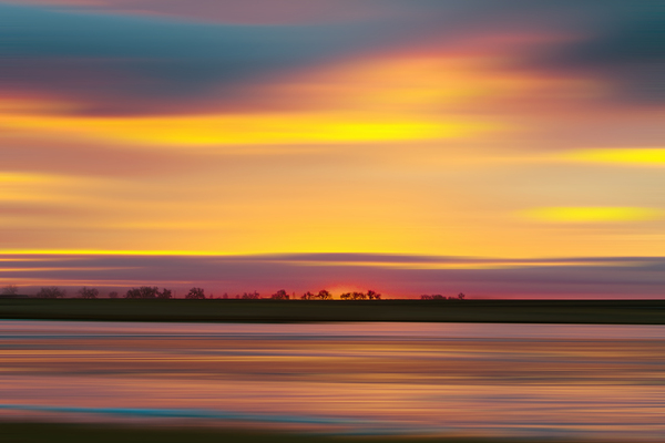 Colorful Tree Line Print