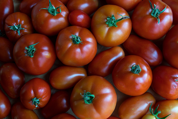 Fresh Tomatoes Print