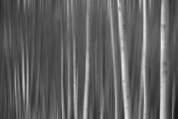 Somewhere Along the Road Print