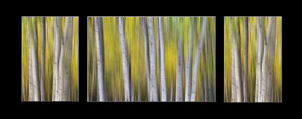 Aspen Splendor Triptych Abstract Landscape Dreaming Collage Print