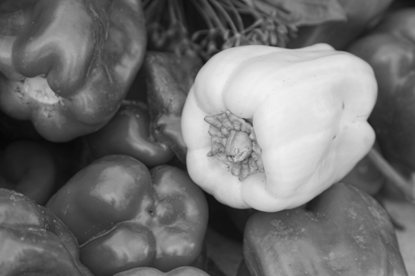 Albino Bullnose Pepper BW Print
