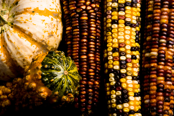 Natures Mosaic An Autumn Harvest Print