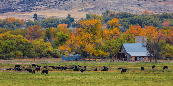 Just A Pretty Country Landscape Print