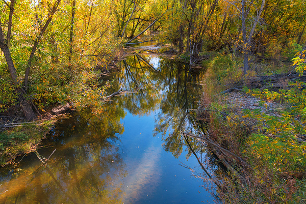 Reflections Time Print
