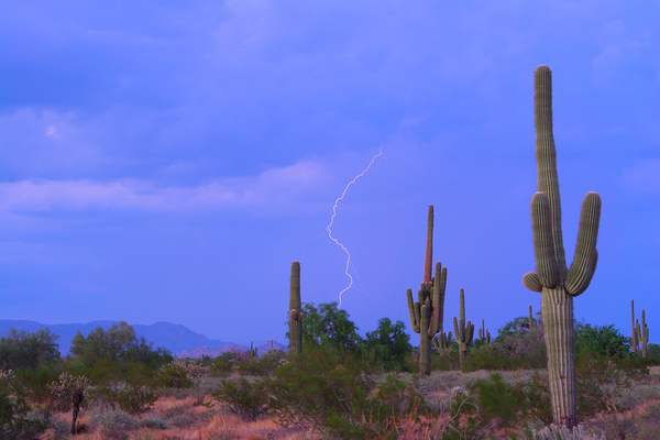 Southwest Sonoran Desert Lightning Strike Print