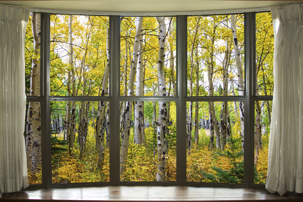 Autumn Forest Bay Window View Téléchargement Numérique