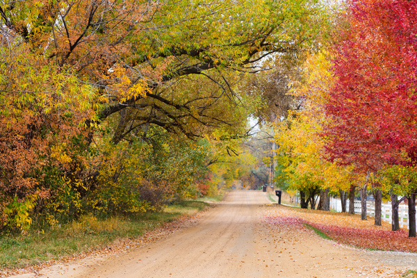 Autumns Country Retreat - A Canopy of Color Digital Download