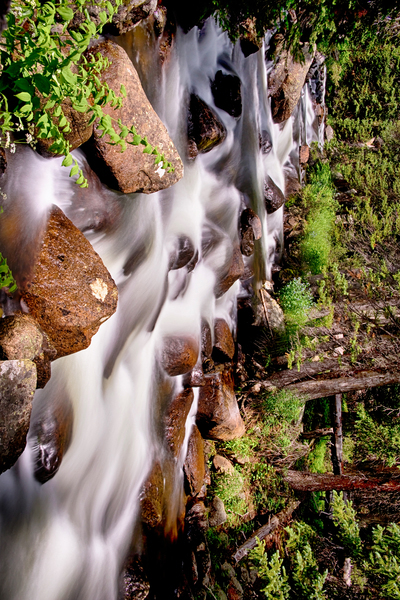 Cascading Rocky Mountain Forest Creek Print