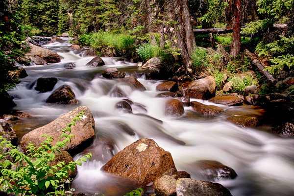 Cascading Rocky Mountain Forest Creek Digital Download