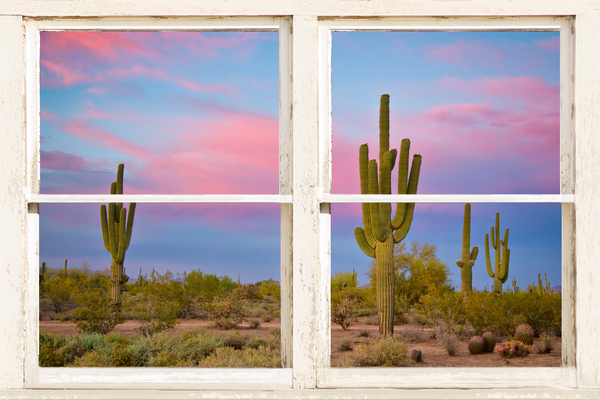 Colorful Southwest Desert Window View Digital Download