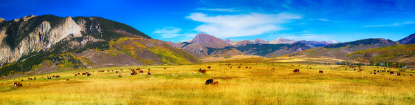 Crested Butte Panorama1 Print