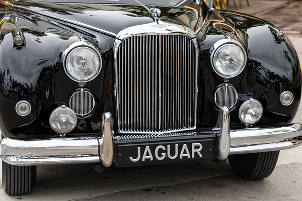 Front End of a Classic Old Black Jaguar Print