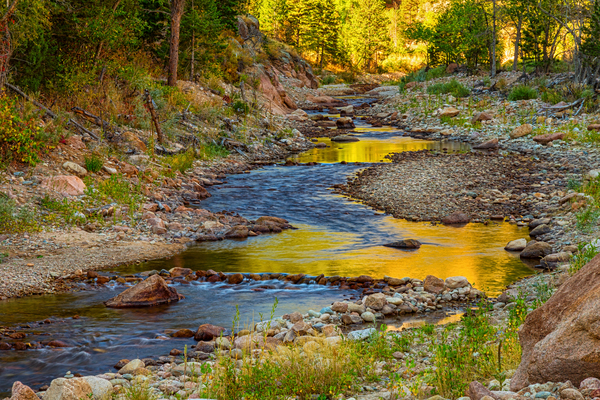 Golden Fishing Stream Print