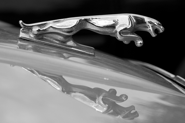 Jaguar Car Hood Ornament Reflection BW Print