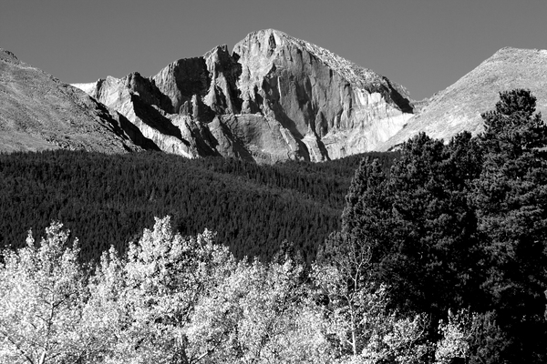 Longs Peak Autumn Aspen Landscape View BW Digital Download