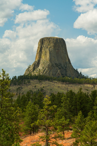 Majestic Devils Tower in Wyoming Surrounded by Pine Forest Print