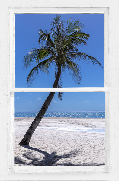 Palm Tree Tropical Window View Digital Download