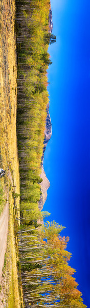 Panorama Autumn Bonanza Print