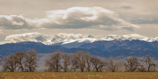 Rocky Mountain Front Range Peaks and Trees Pano Digital Download