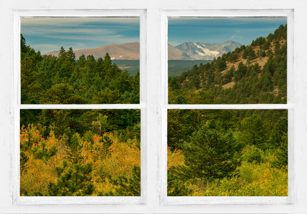 Rocky Mountain Whitewash Picture Window View Digital Download
