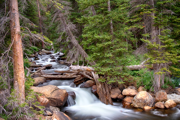 Rocky Mountains Stream Scenic Landscape Print