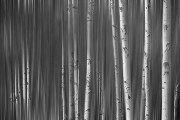 Somewhere Along the Road Dreaming Black and White Print