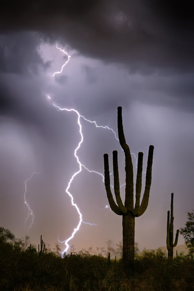 Sonoran Desert Monsoon Storming Print