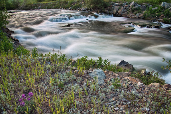 South Boulder Creek Summer View Print