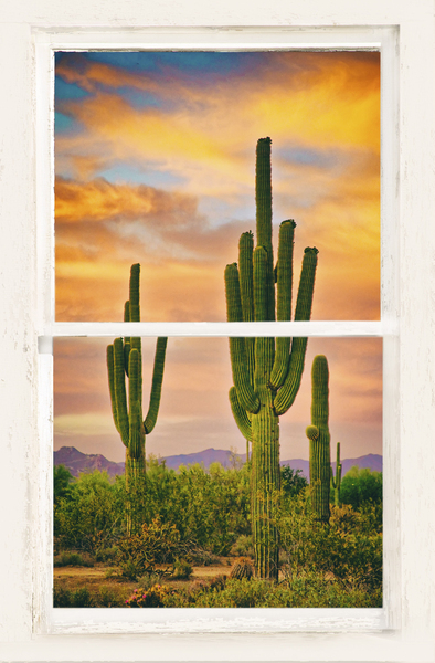 Southwest Desert Sunset View White Window Print