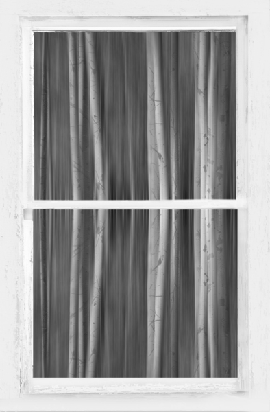 Surreal Dreamy Aspen Forest White Rustic Window Print