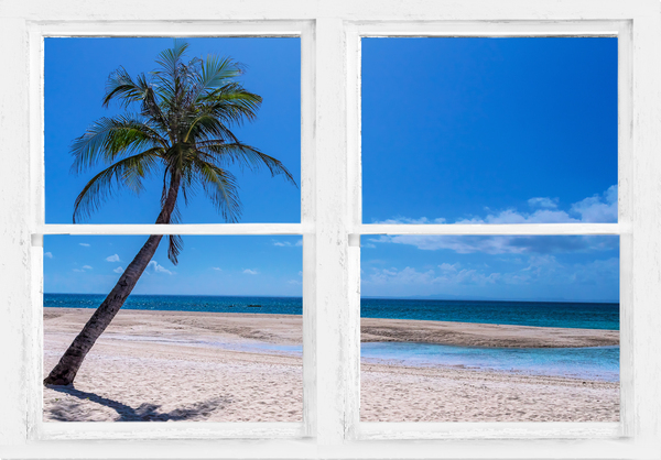 Tropical Paradise Whitewash Window View Print