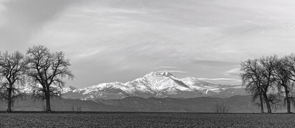 Twin Peaks Between The Trees BW Panorama Print