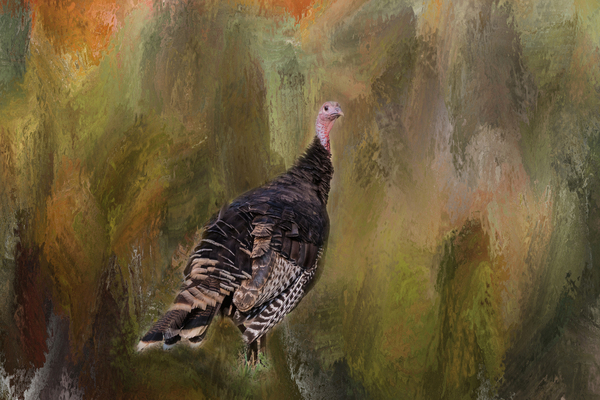 Wild Native Merriam Turkey Digital Download