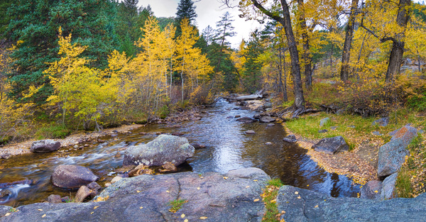Colorado Autumn Creek Happy Place Panoramic Digital Download