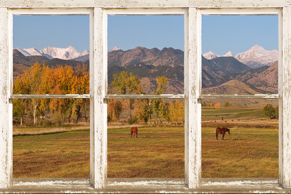 Horses Autumn White Barn Picture Window View Digital Download