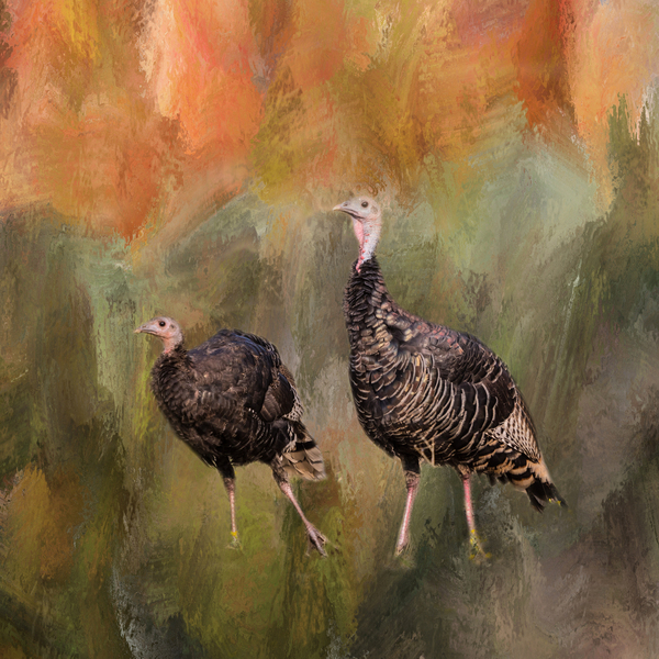 jive turkeys Print