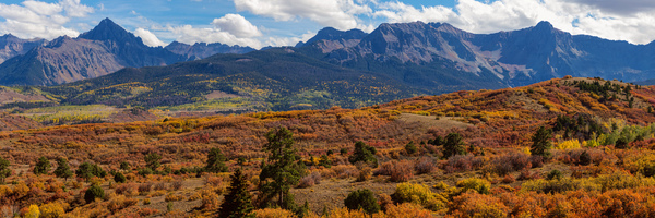 Ridgeway Panorama 2 Part 1 Print
