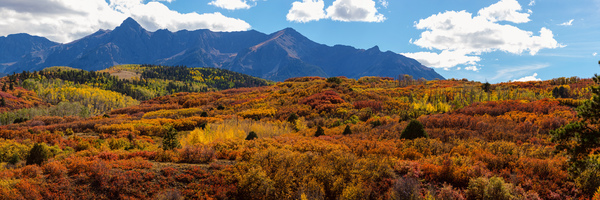 Ridgeway Panorama  Part2 Print