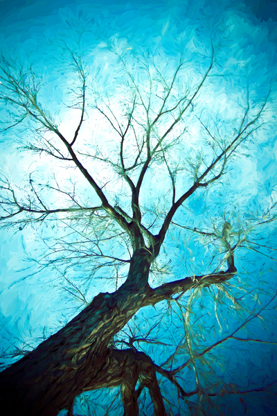 winter tree blue Digital Download