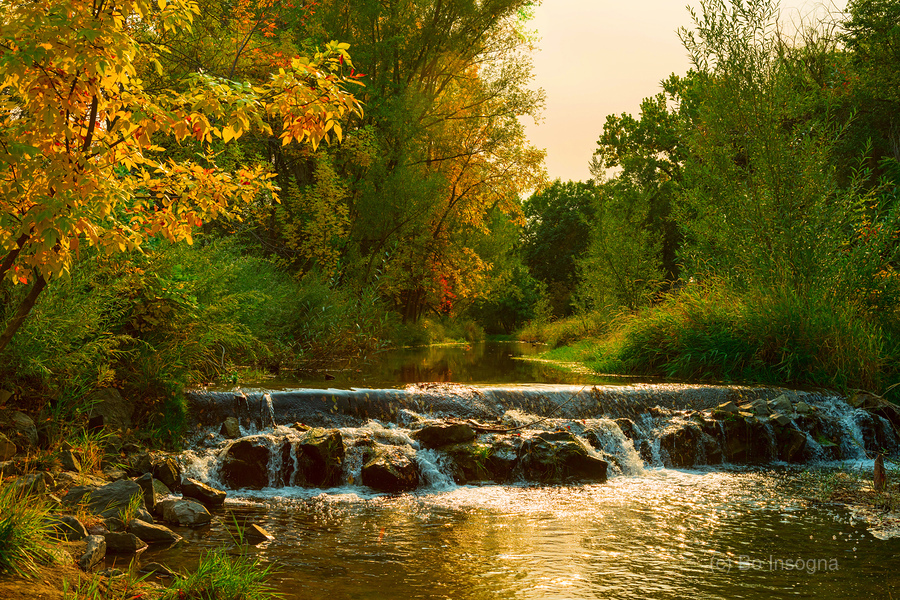 Beautiful Colorful Left Hand Creek Fall View  Print