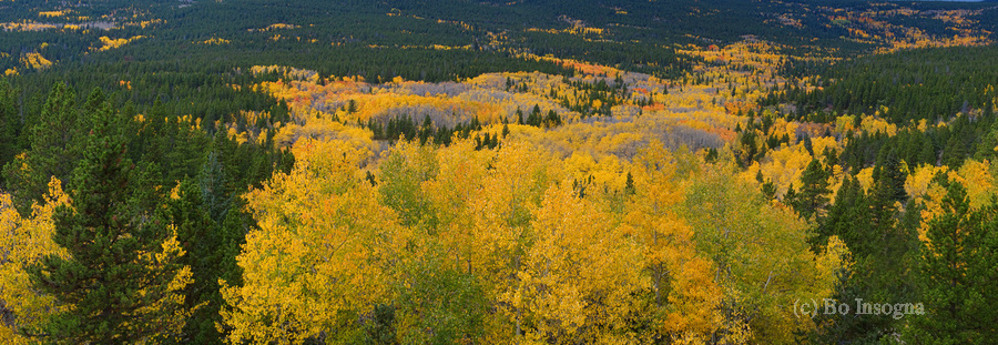Colorado Autumn Panorama colorful  Imprimer