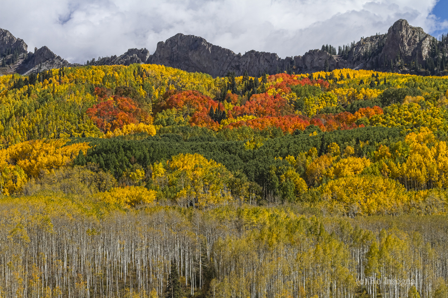 Colorado Kebler Pass Fall Foliage  Imprimer